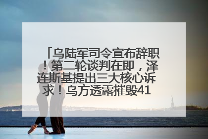 乌陆军司令宣布辞职！第二轮谈判在即，泽连斯基提出三大核心诉求！乌方透露摧毁41架俄战略轰炸机
